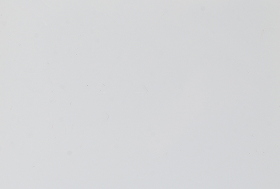ST-4850