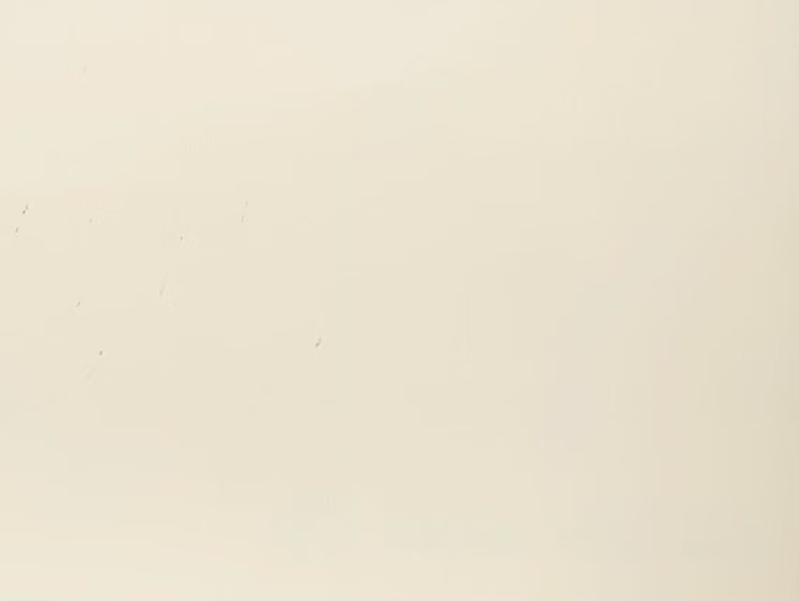 STWS-0003 butter yellow（Matte finish & glossy finish）