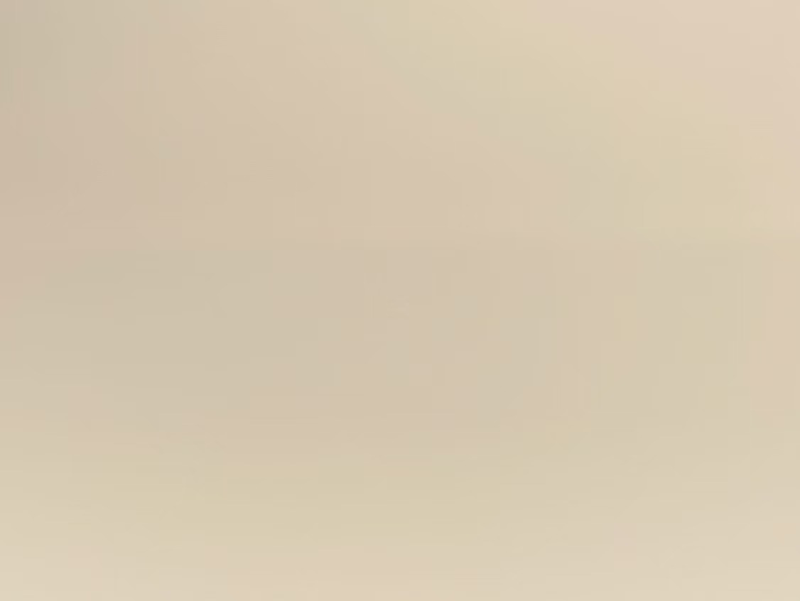 STWS-0005 Brown earth（Matte finish & glossy finish）