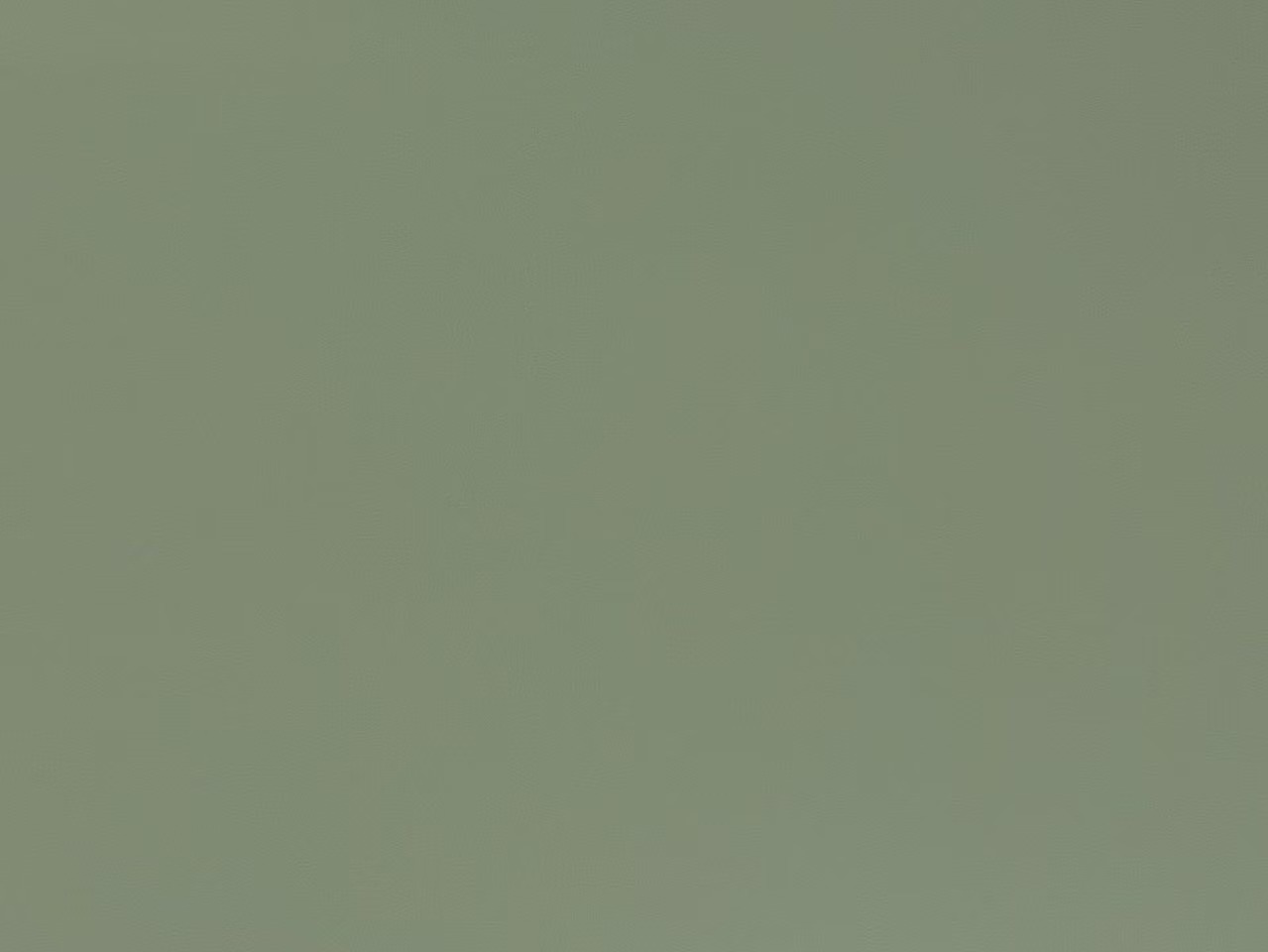 STWS-0009 olive-green（Matte finish & glossy finish）