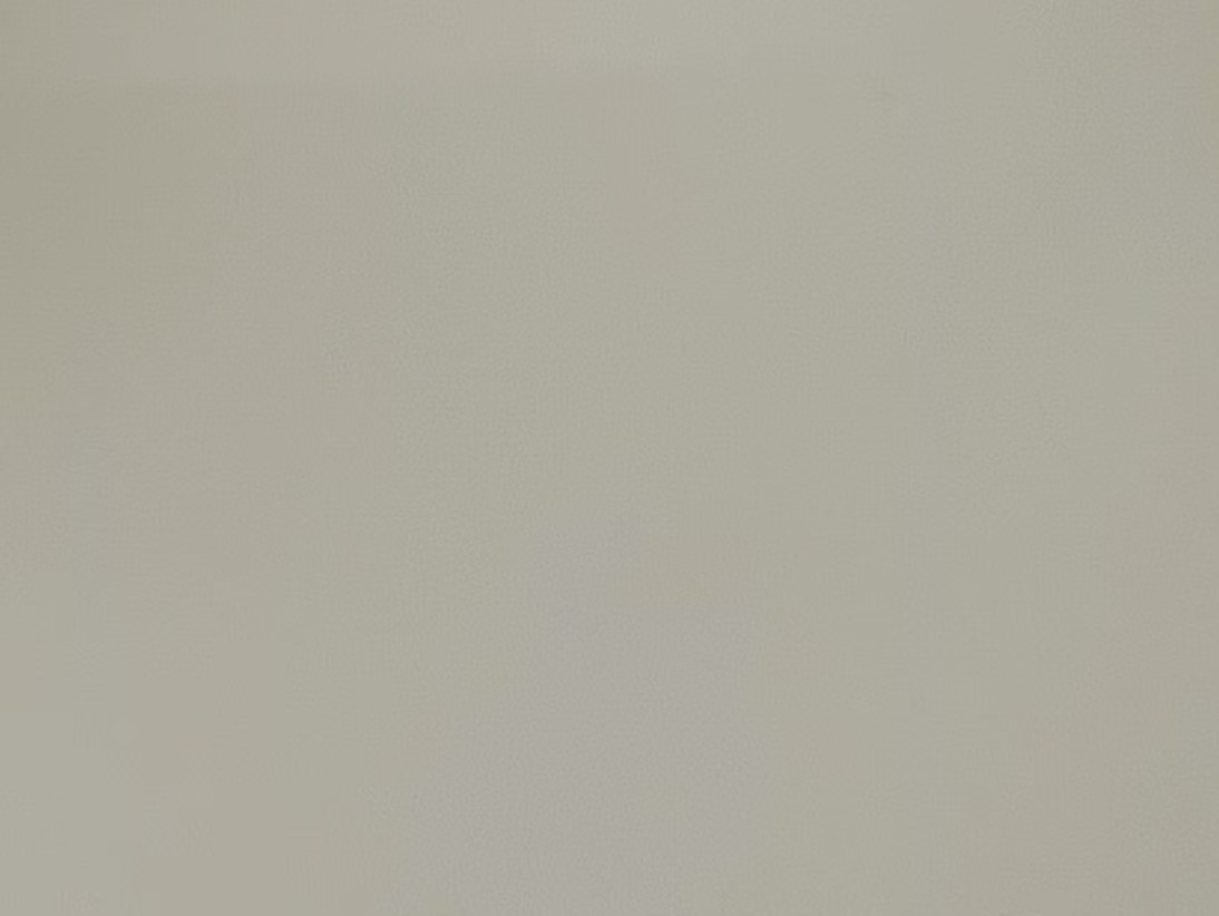 STWS-0019 Gray pine forest（Matte finish & glossy finish）