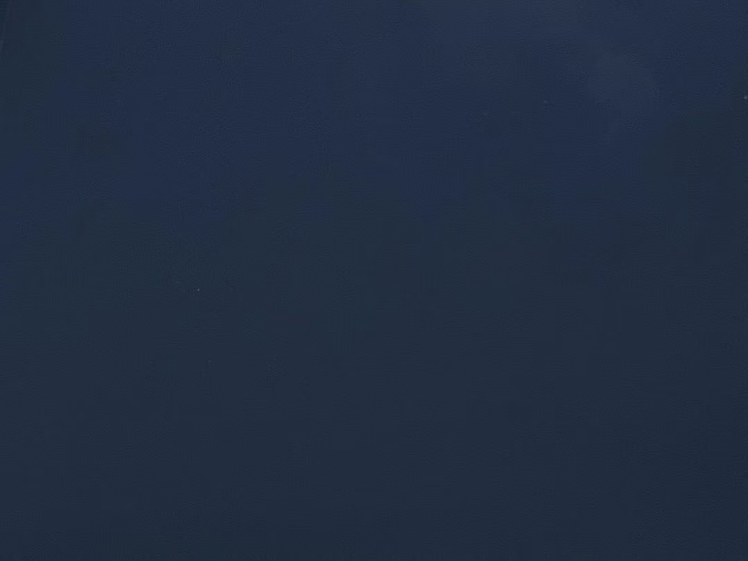 STWS-0021 sapphire（Matte finish & glossy finish）