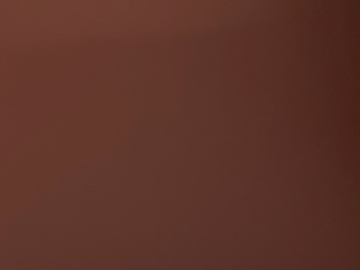 STWS-0090 Dark purple-red（Matte finish & glossy finish）