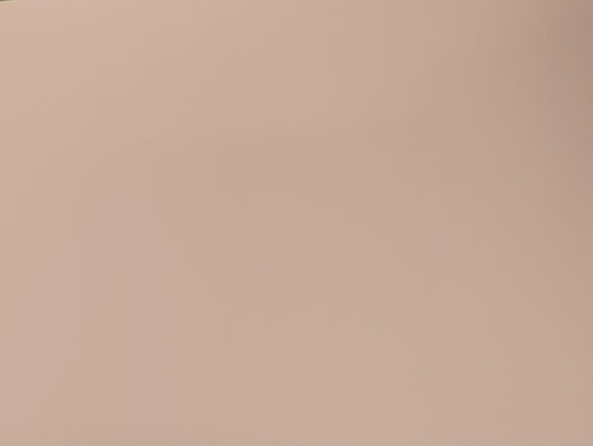 STWS-0091 coral pink（Matte finish & glossy finish）