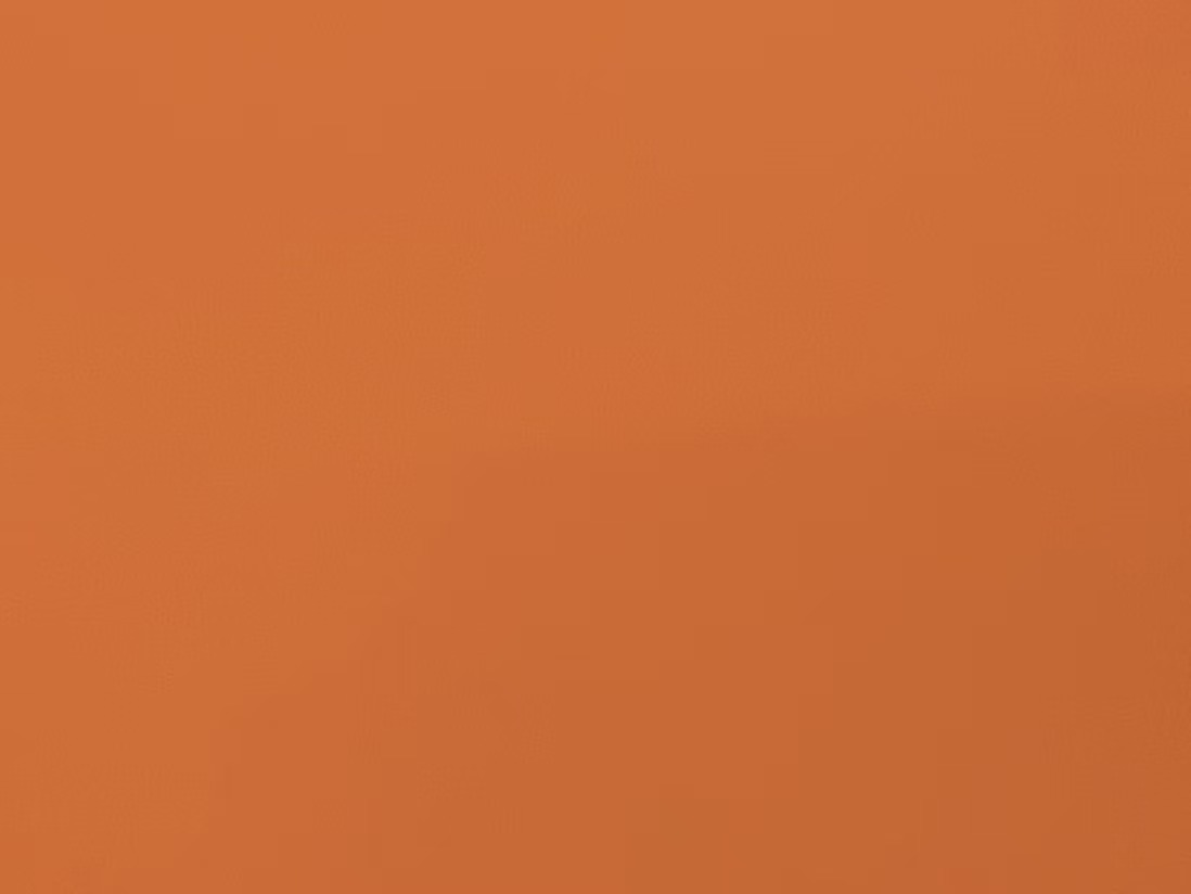 STWS-0124 Scorching Sun Orange（Matte finish & glossy finish）