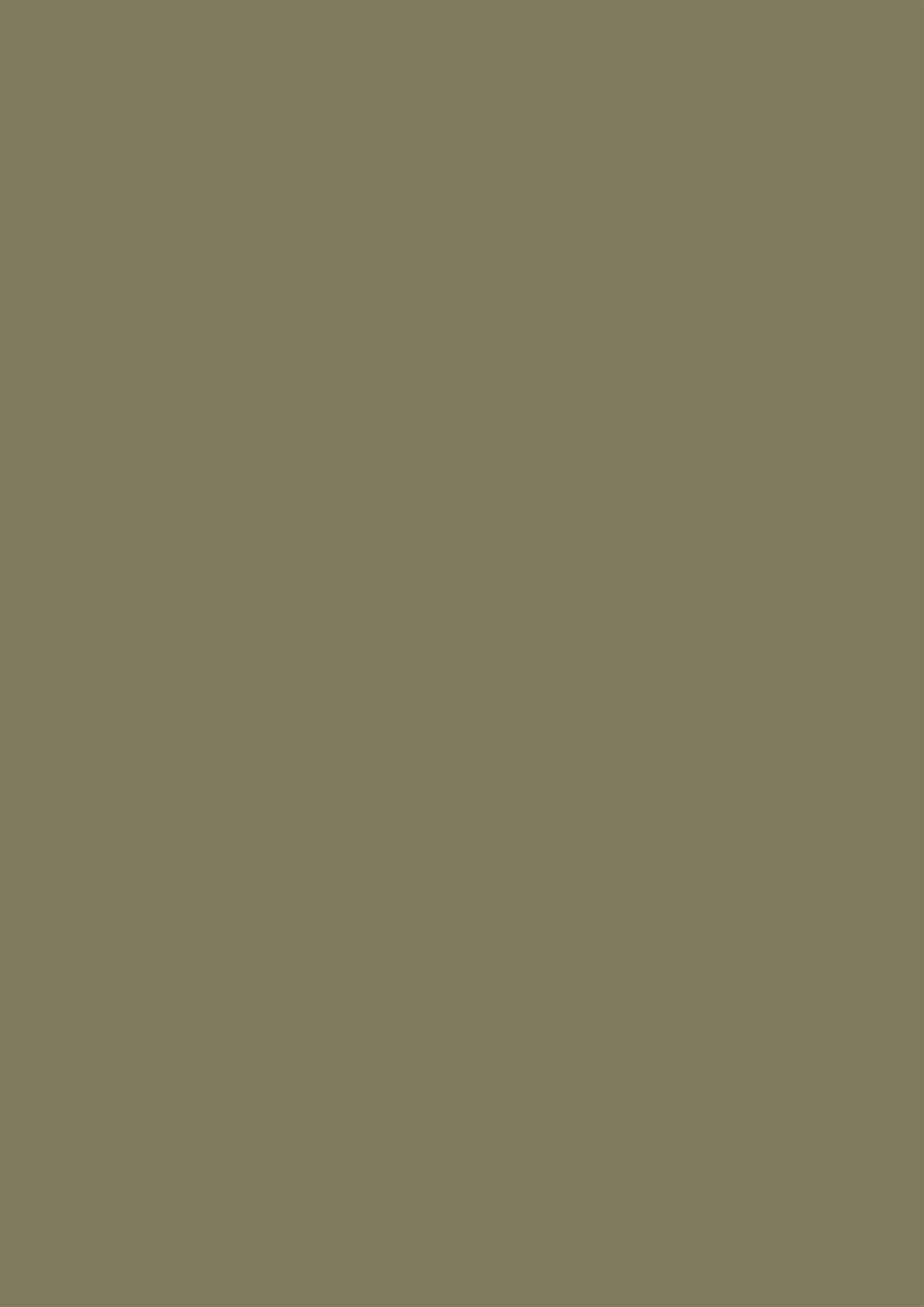 S102 Oat Brown