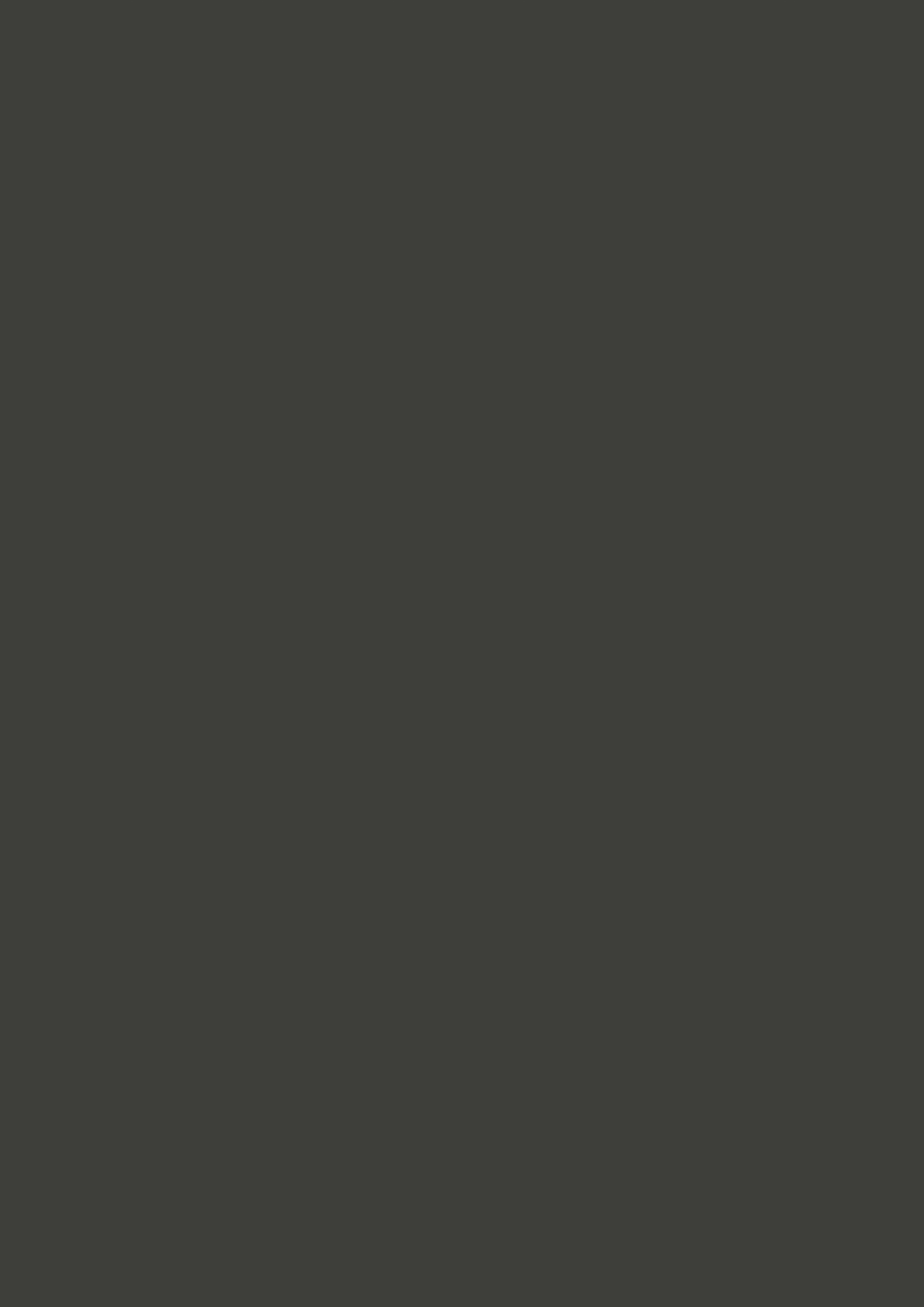 S201 Meteorite Grey