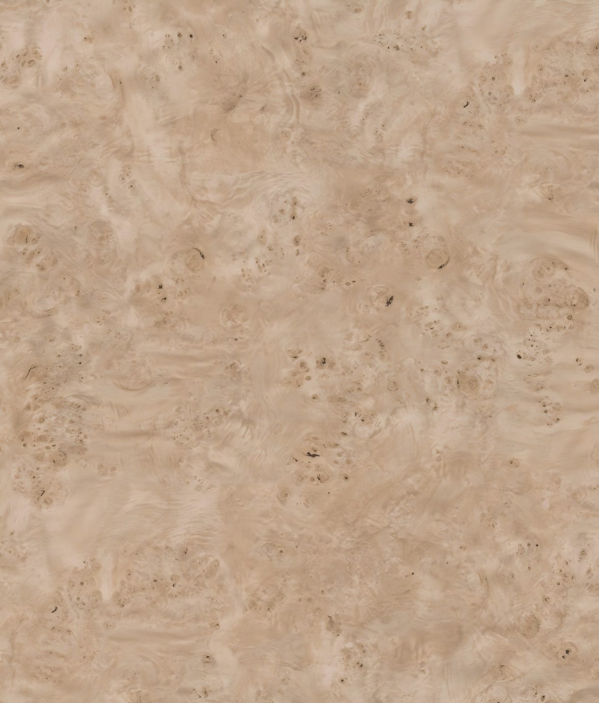 W503G Burl Wood · High Gloss Silver